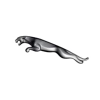 Jaguar Jaguar